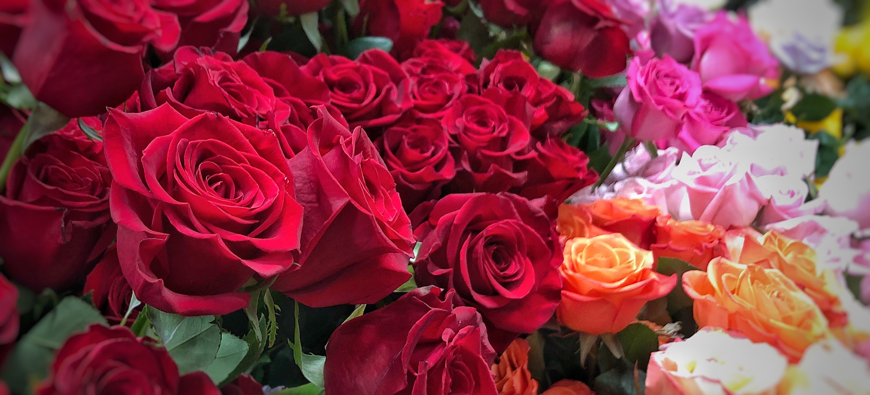 Erie Florist Flower Delivery by Allburn Florist